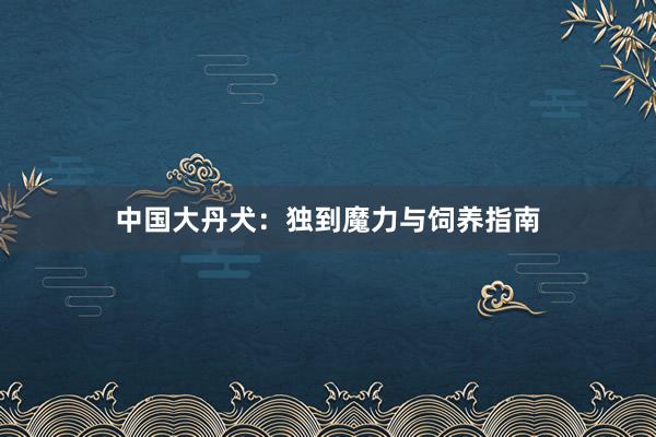 中国大丹犬：独到魔力与饲养指南